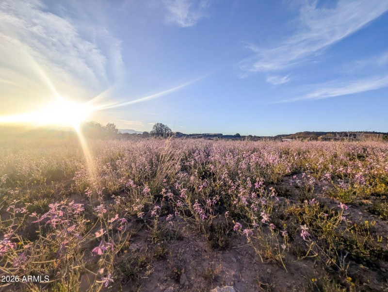 43-PXL_20260317_010345495