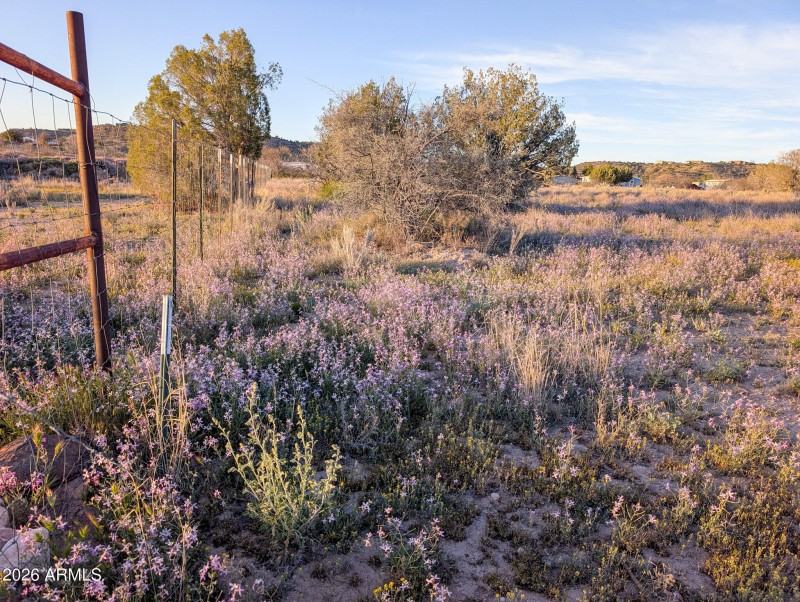 44-PXL_20260317_010701389