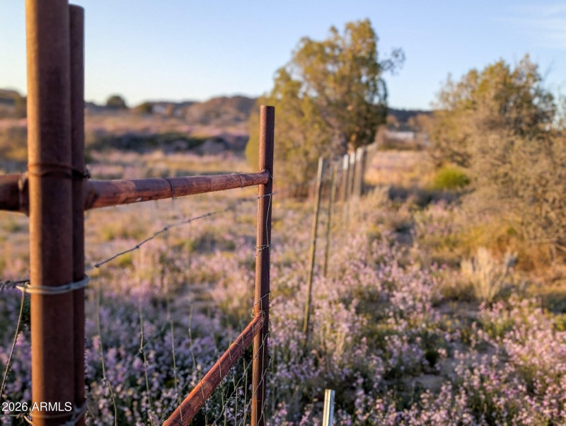 45-PXL_20260317_010733387