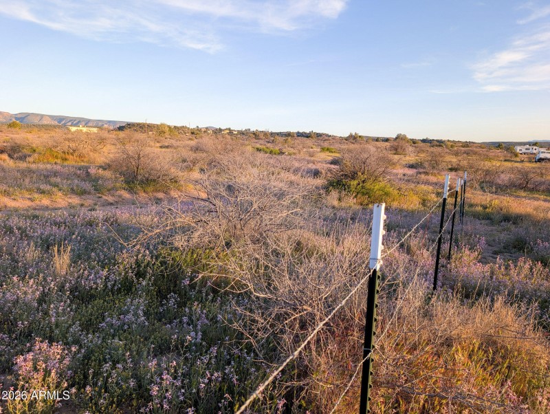 49-PXL_20260317_010936163