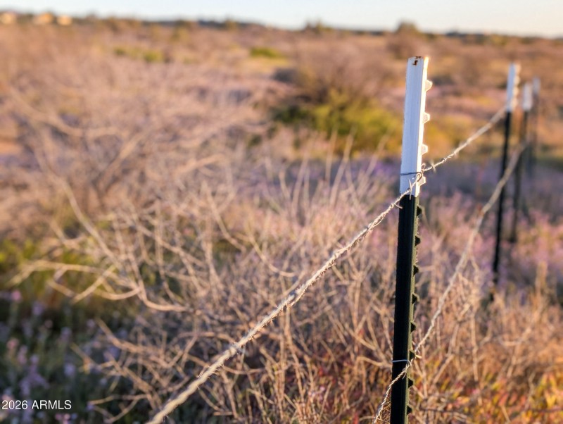 50-PXL_20260317_010942893