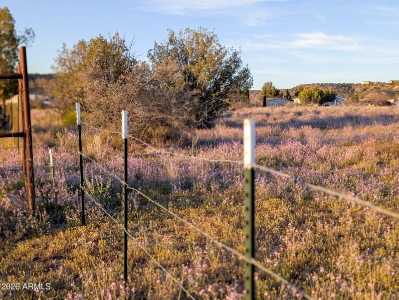 53-PXL_20260317_010958039