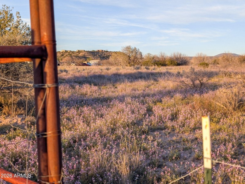 55-PXL_20260317_011013486