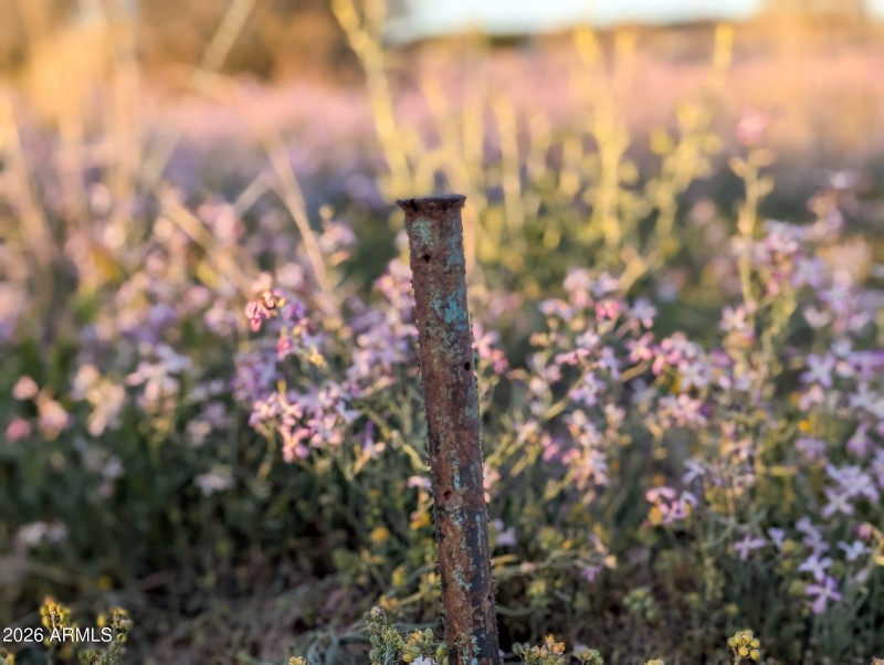 56-PXL_20260317_011027028