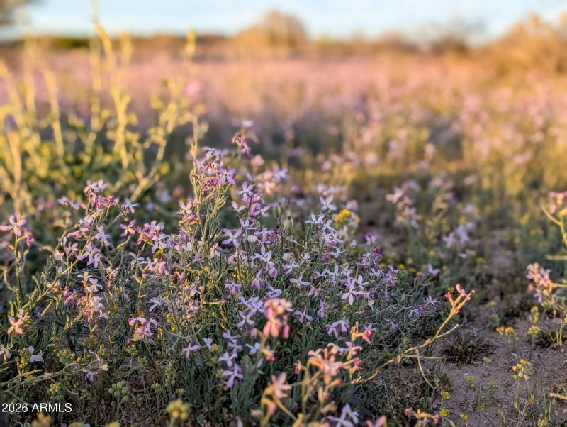 57-PXL_20260317_011028473