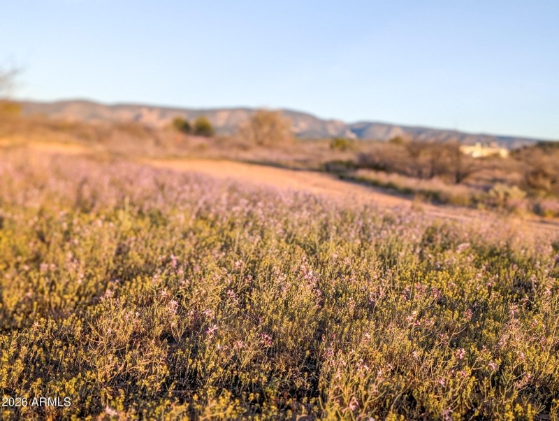 58-PXL_20260317_011035737