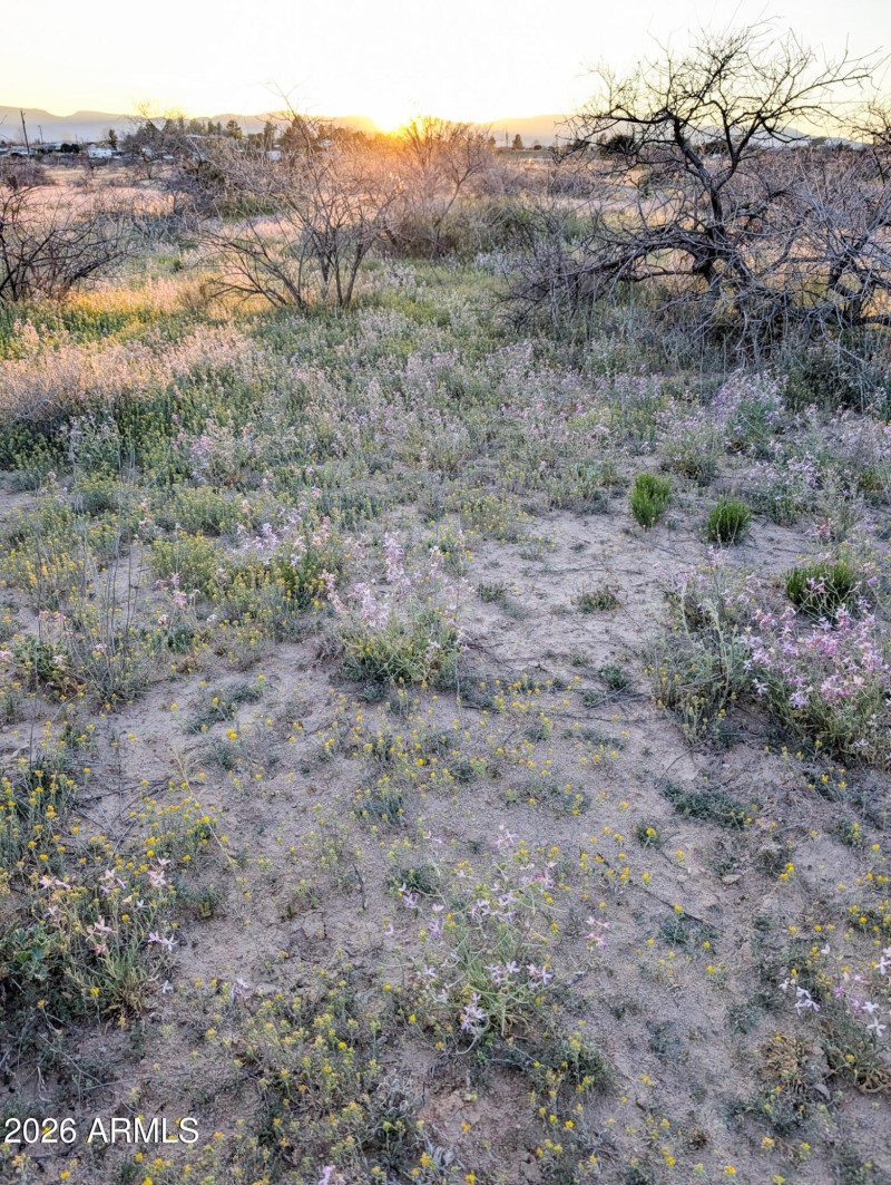 60-PXL_20260317_012251780