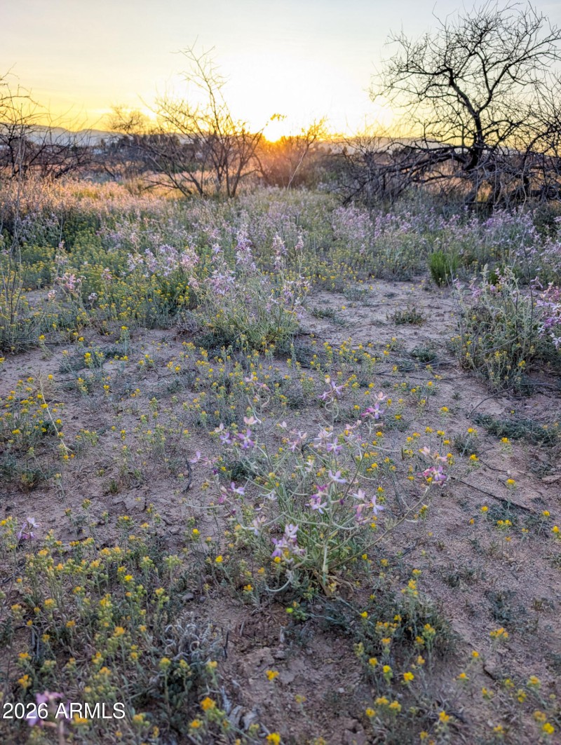 61-PXL_20260317_012255874