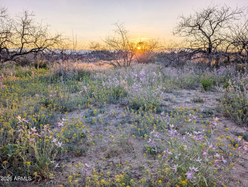 62-PXL_20260317_012300200