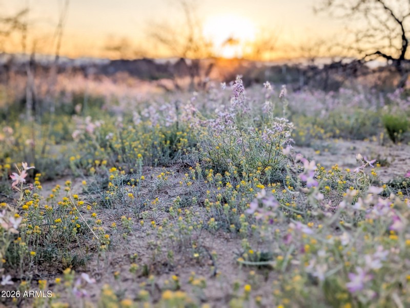 63-PXL_20260317_012308635