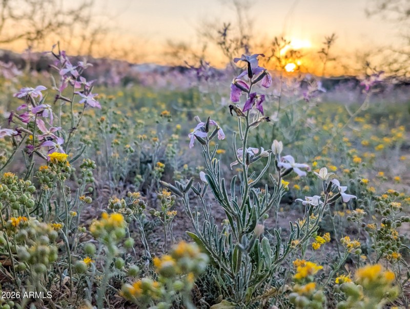 64-PXL_20260317_012328418