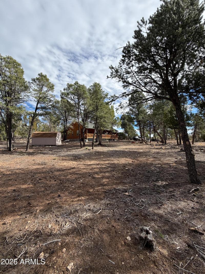 Albritton (53 of 64)