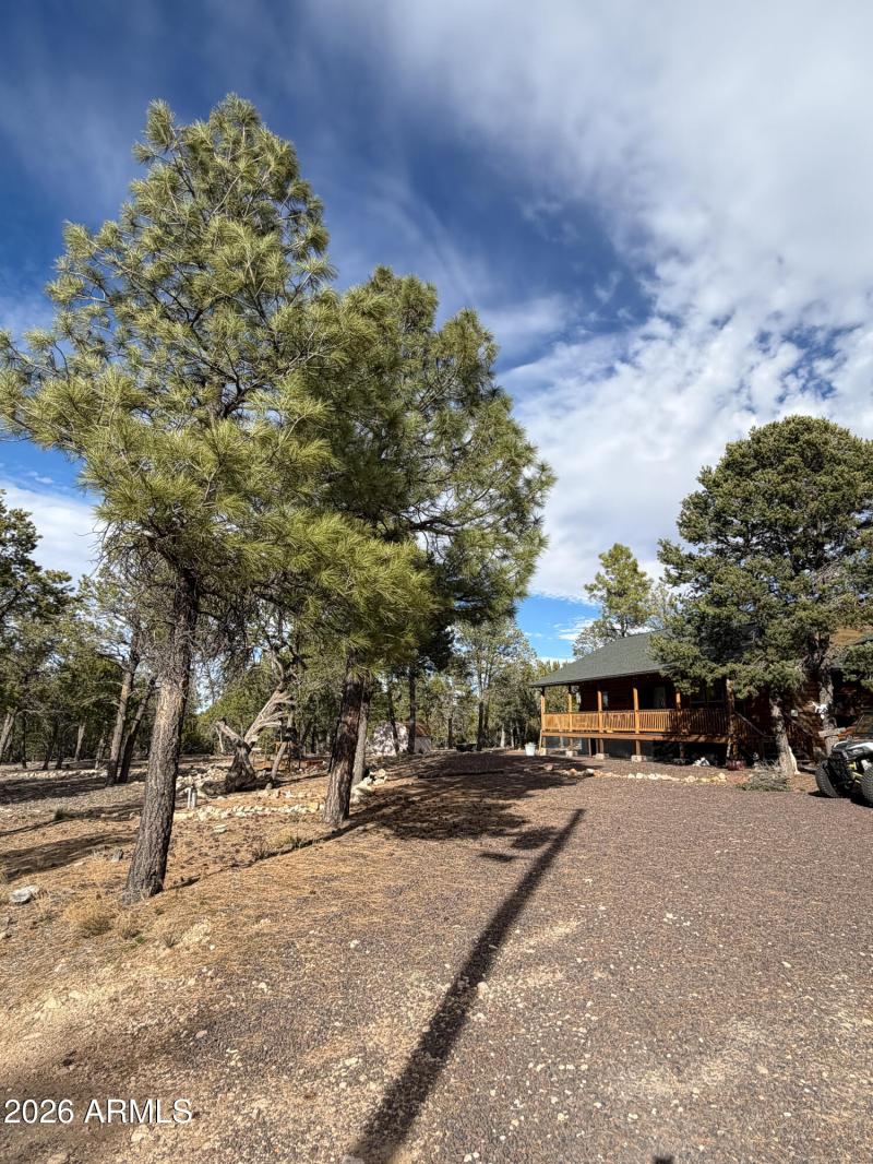 Albritton (56 of 64)