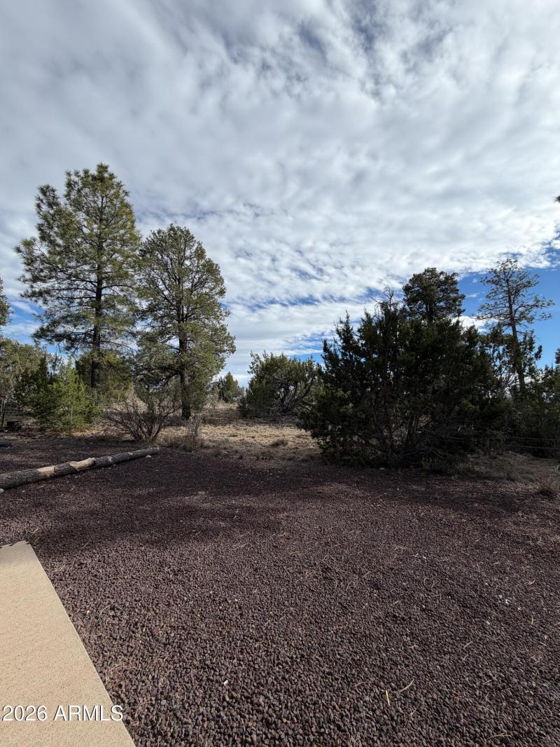 Albritton (59 of 64)