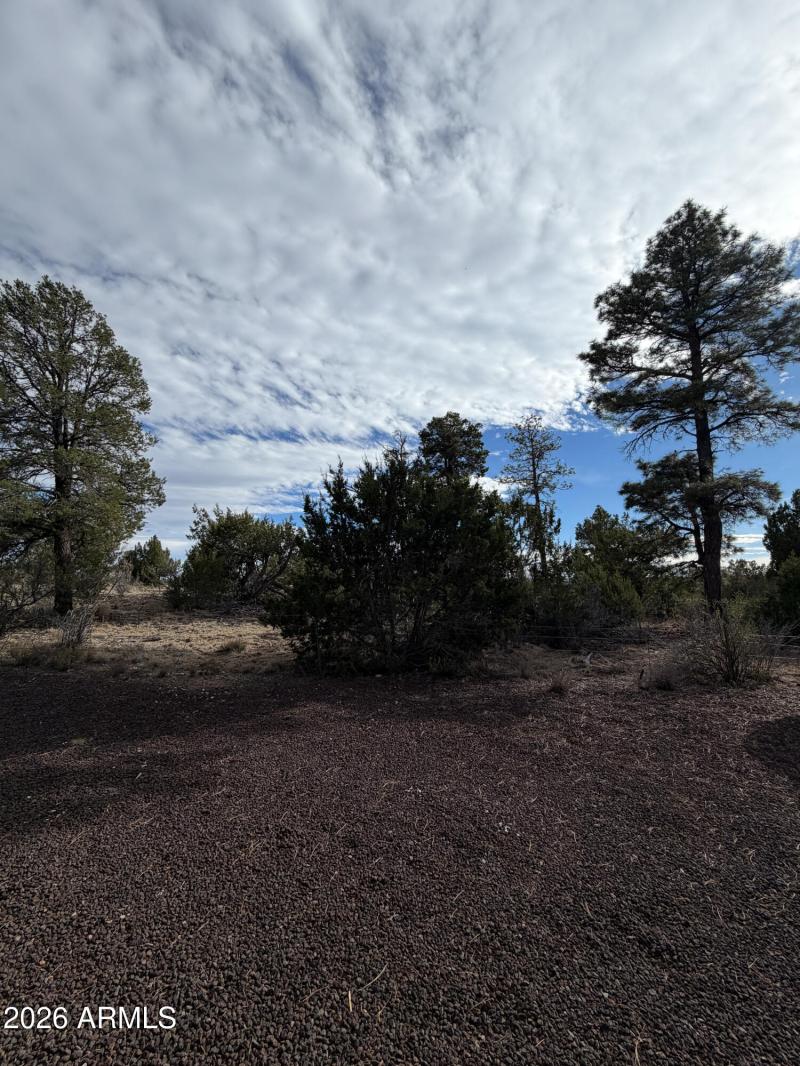 Albritton (60 of 64)