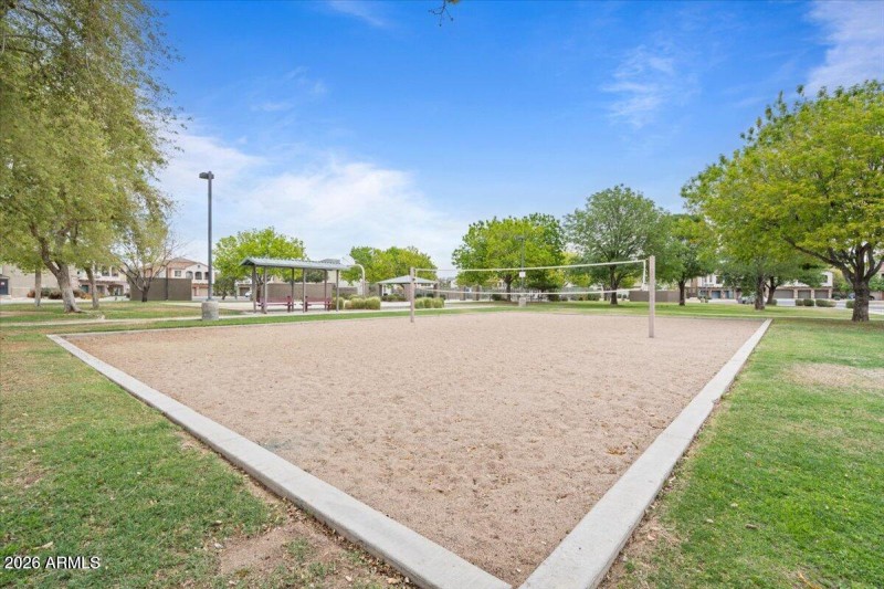 Volleyball court