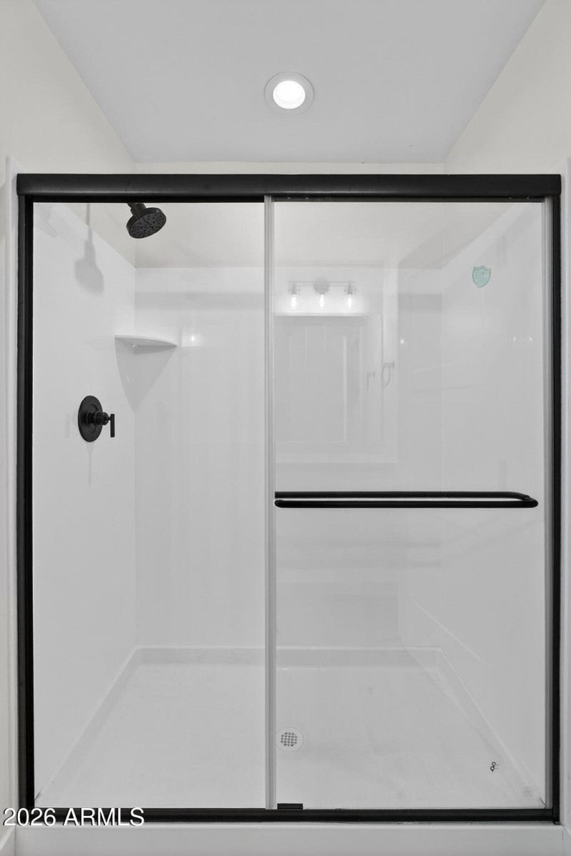 28-web-or-mls-050W Moon Dust Trl