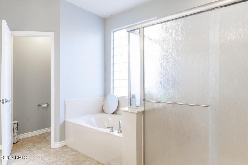 311 W Blue Lagoon - Primary Bath View 2