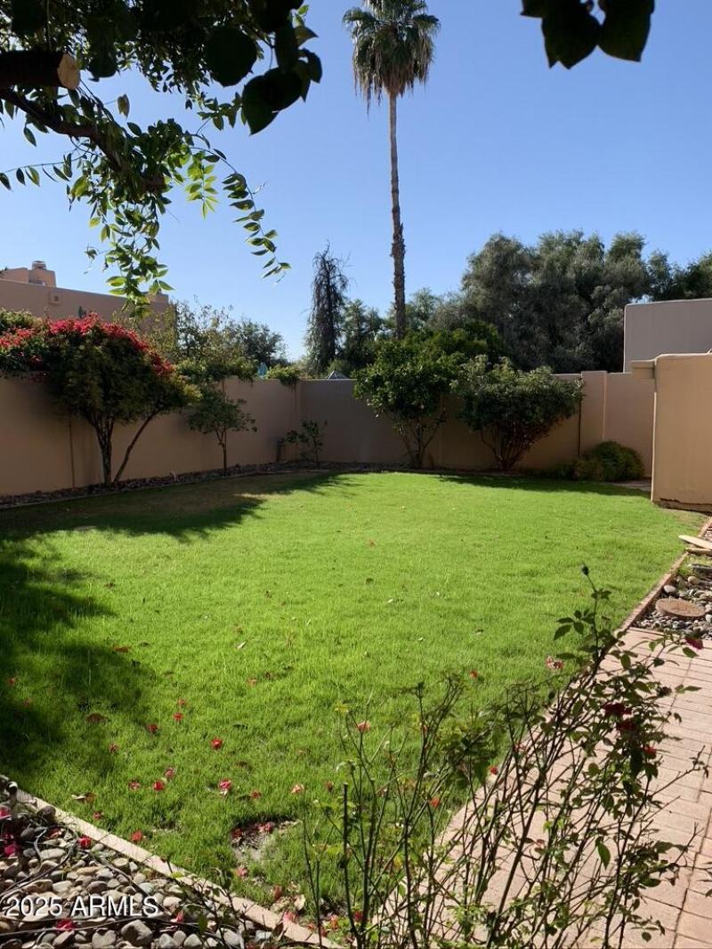 Lush, mature landscape