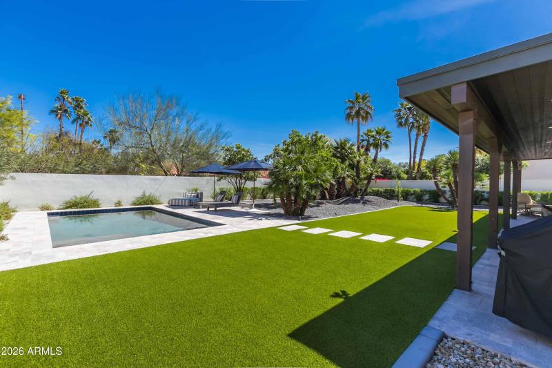 Stunning , Easy to maintain backyard