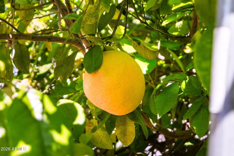 027__2482 W Arroyo Way