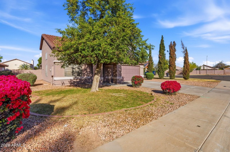 3-web-or-mls-IMG_0010