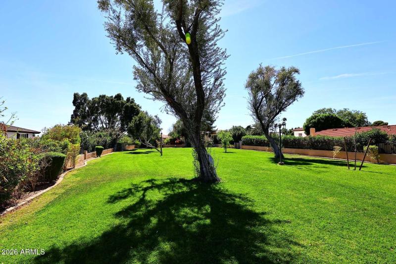 Common Area behind Home