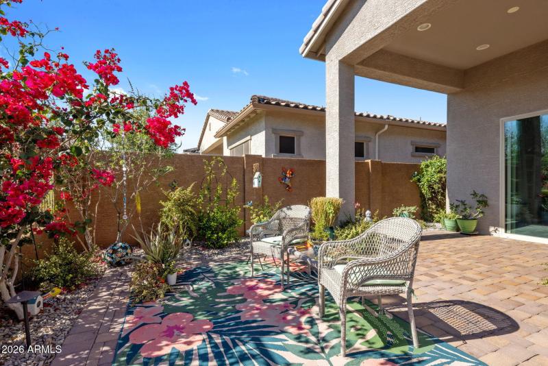 Amazing Outdoor Space