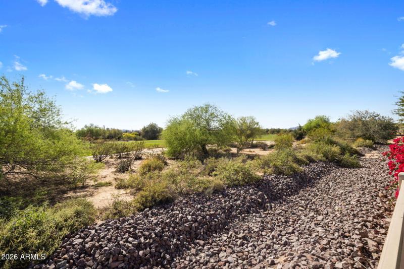 Amazing Outdoor Space