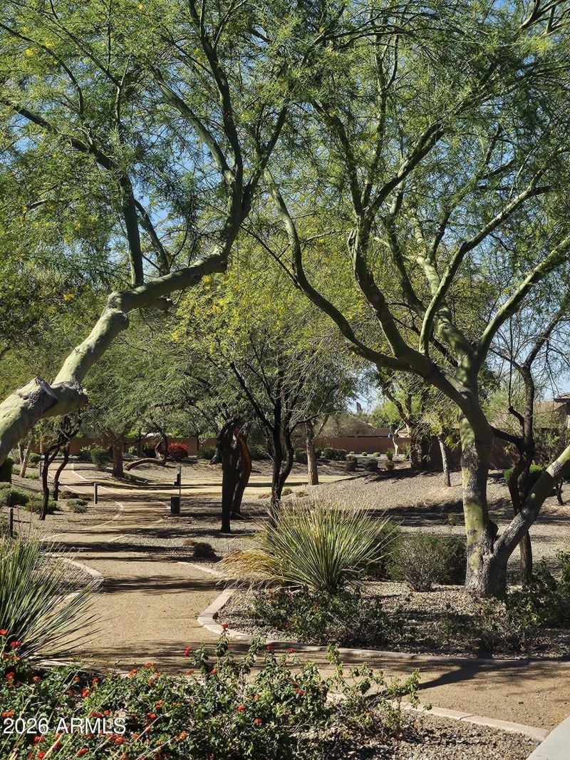 DDF6EB67-1D70-445F-B181-D90AE46FFA70