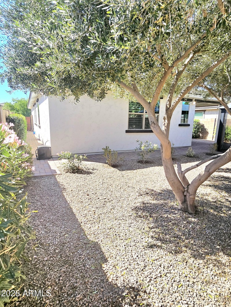 253EC961-4EC6-4CA8-9CCE-F6C0FF141DD2