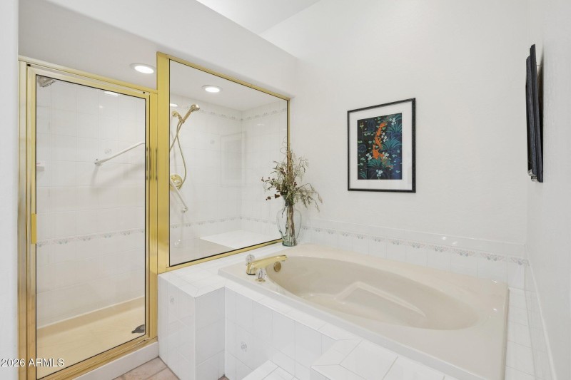 Primary Shower and Tub