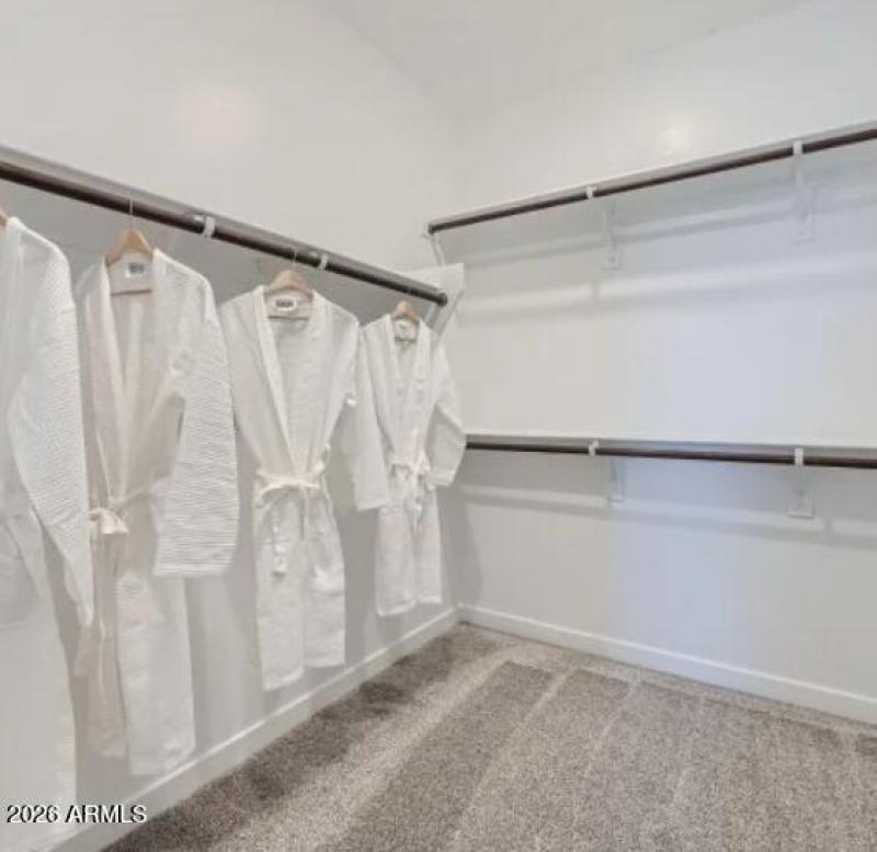 Owners Walk in Closet