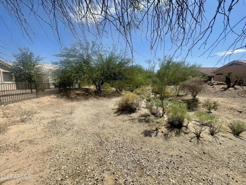 BackyardLookingSouth