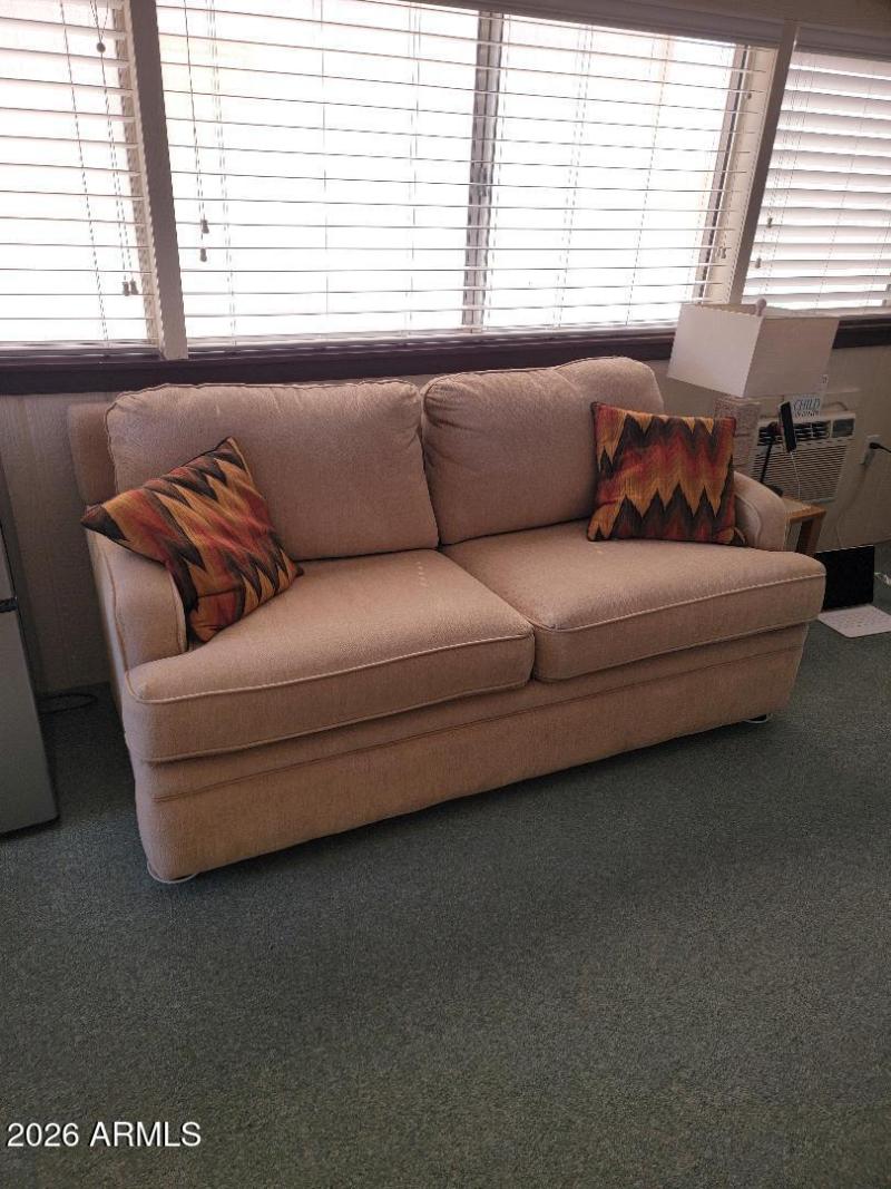 Arizona room couch