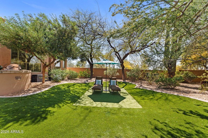 Expansive backyard