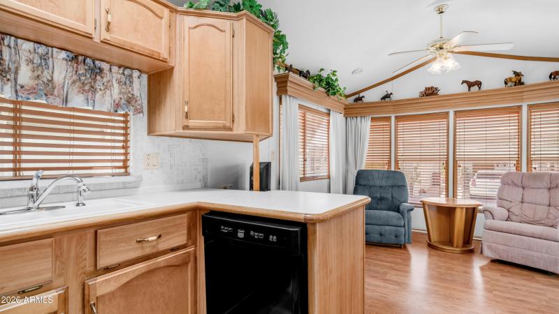 3710 S Goldfield Rd Lot 518 (17)