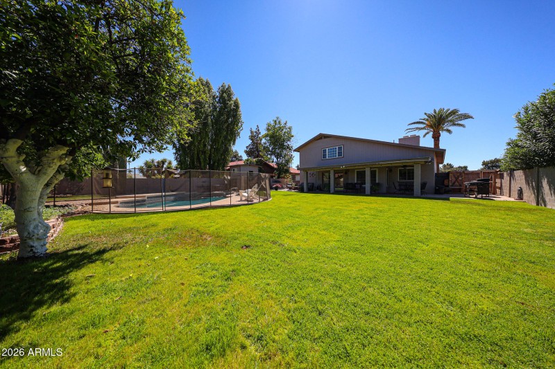 Enormous grassy yard