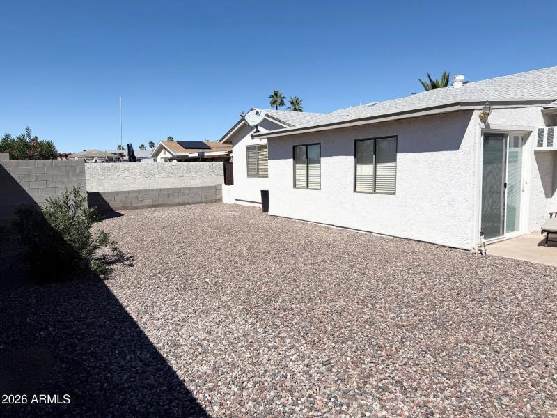 Low Maintenance Backyard