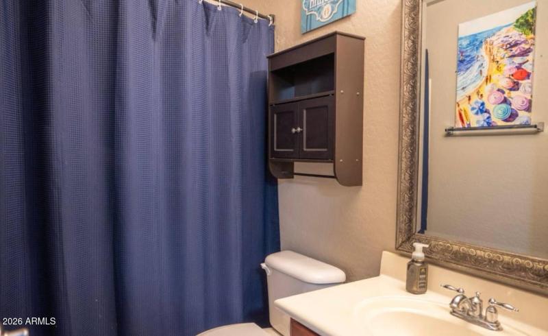 IMAGE 2026-03-19 11:36:33