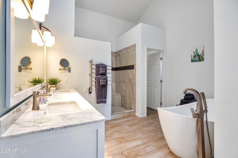 Spa Inspired Primary Bath