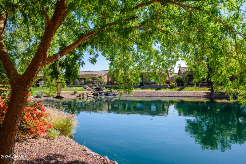 20598 N Lemon Drop-8995-HDR