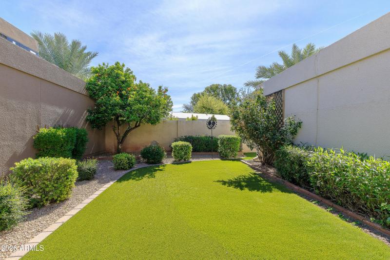 Turf - Low Maintenance