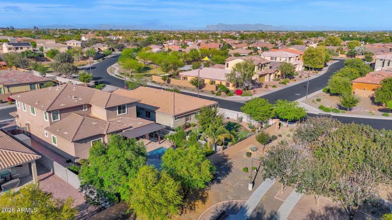 Back of House (Drone)