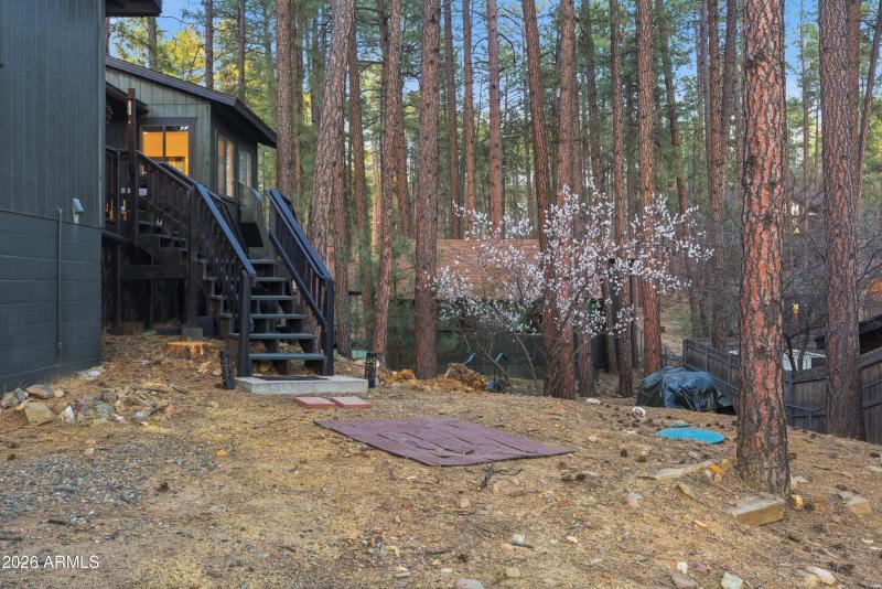 Rear yard with 2 apricot trees