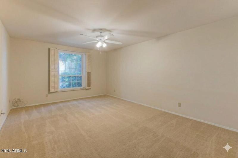 photo_2026-03-19_12-55-15 (3)