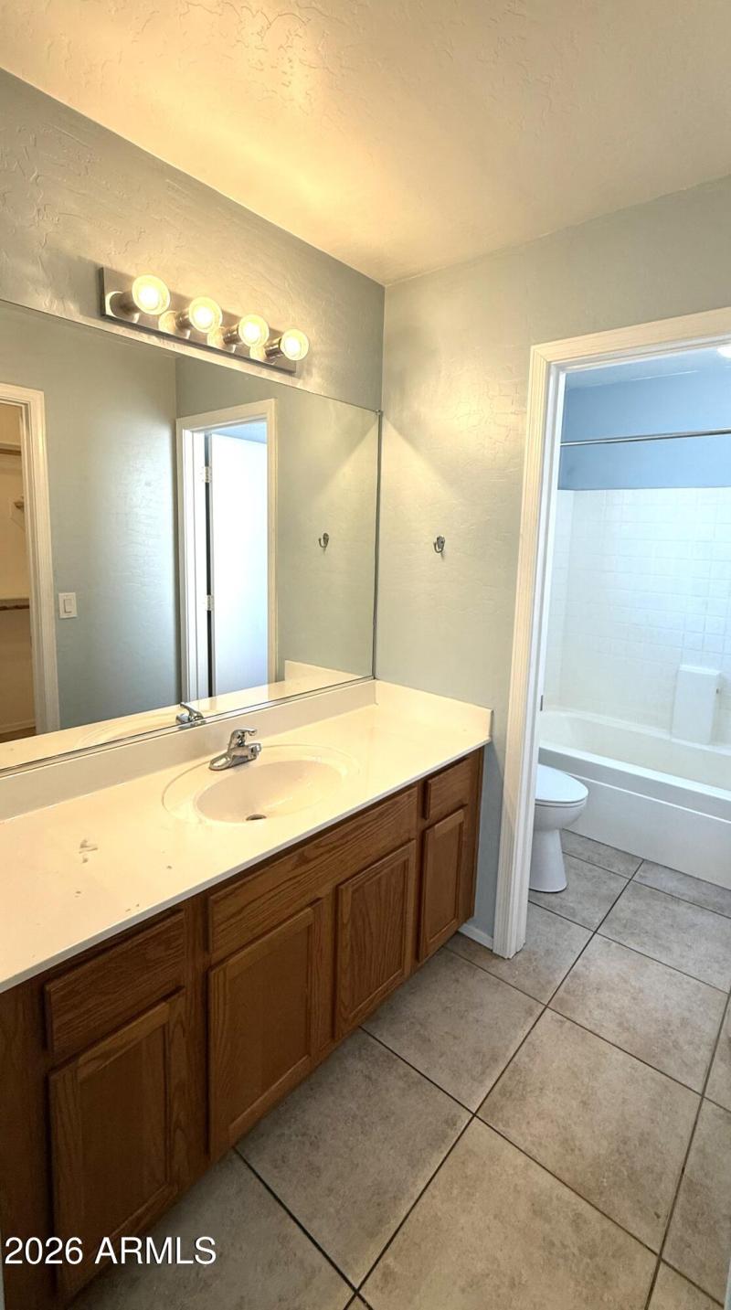 Master Bedroom Sink and Vanity