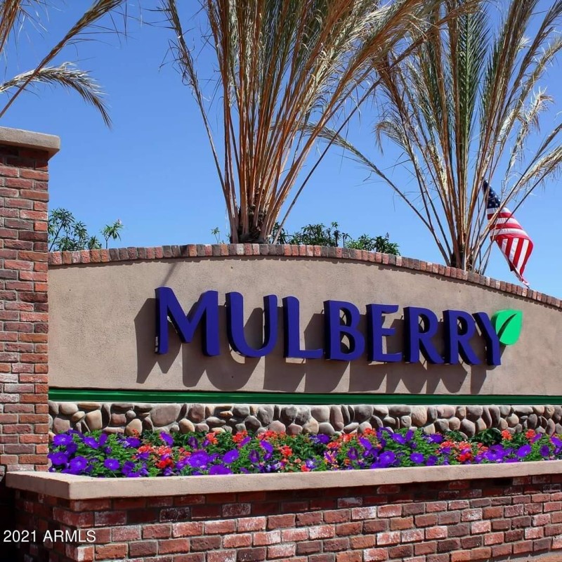 FB_IMG_1638935686636