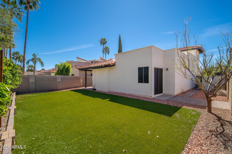 Backyard - lots of room to play