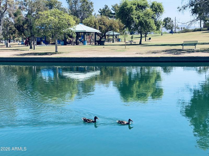 Chaparral Park